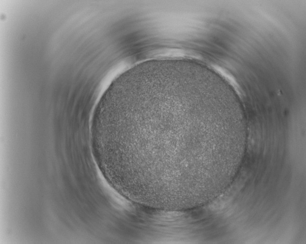 X0000088591475200706011125