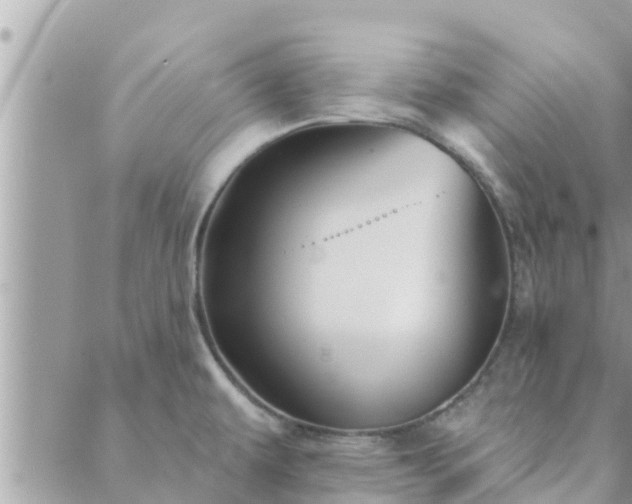 X0000088591479200706011125