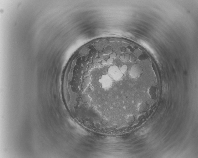 X0000088591480200706011125