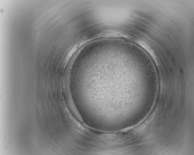 X0000088591481200706011125