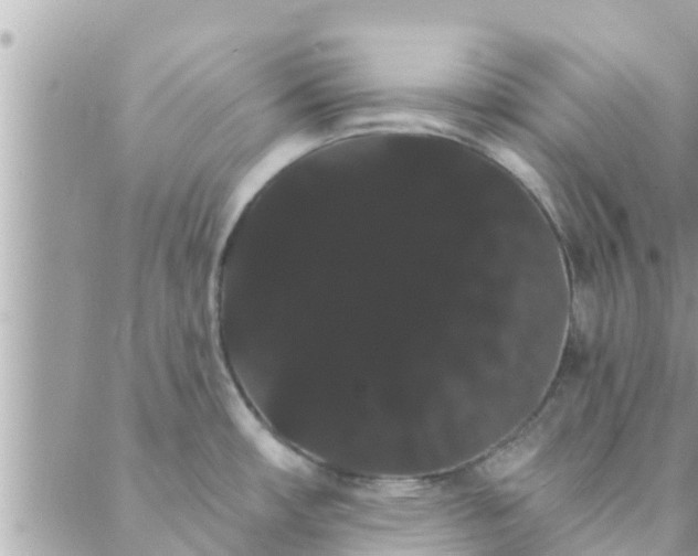 X0000088591482200706011125