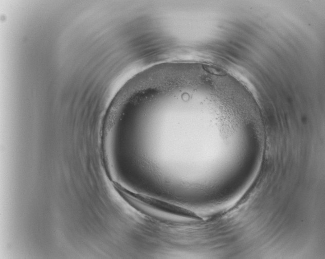 X0000088591483200706011125