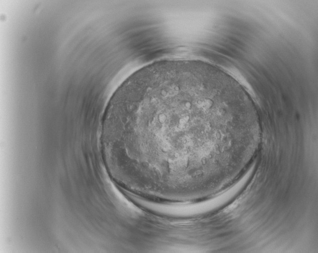 X0000088591484200706011125