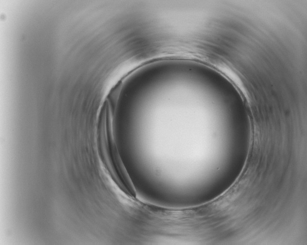 X0000088591485200706011125