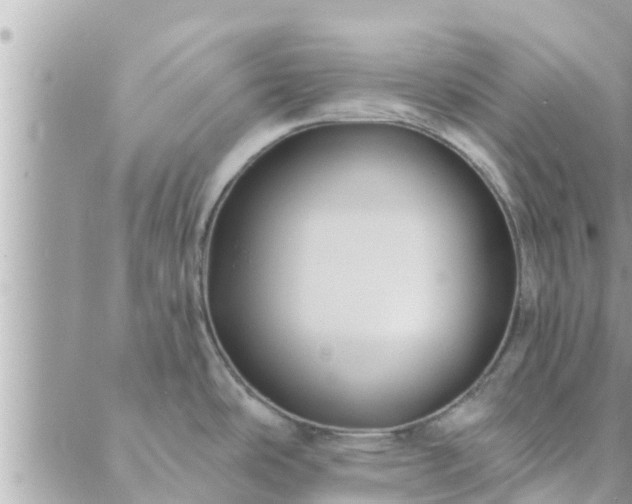 X0000088591486200706011125