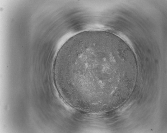 X0000088591488200706011125