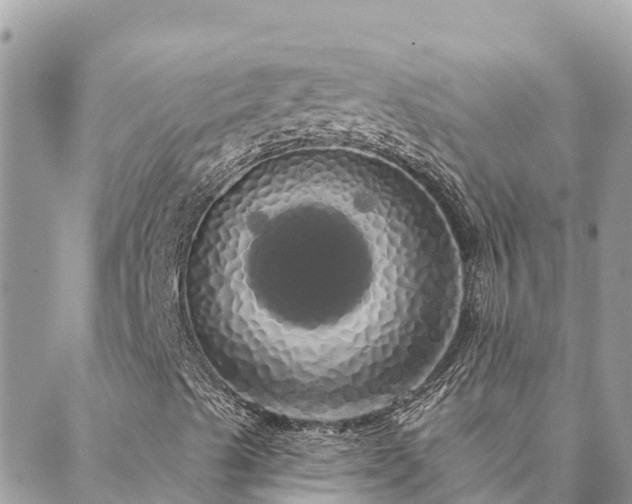 X0000088591489200706011124