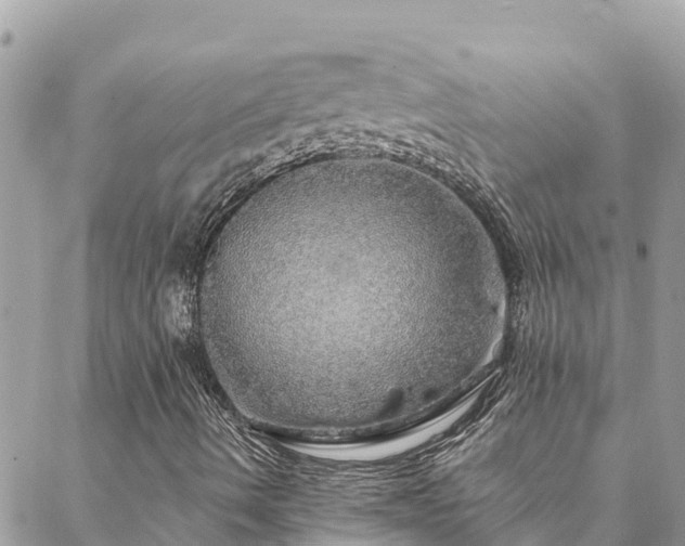 X0000088591490200706011124