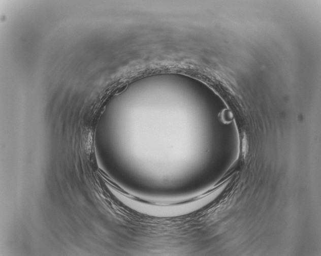 X0000088591492200706011124