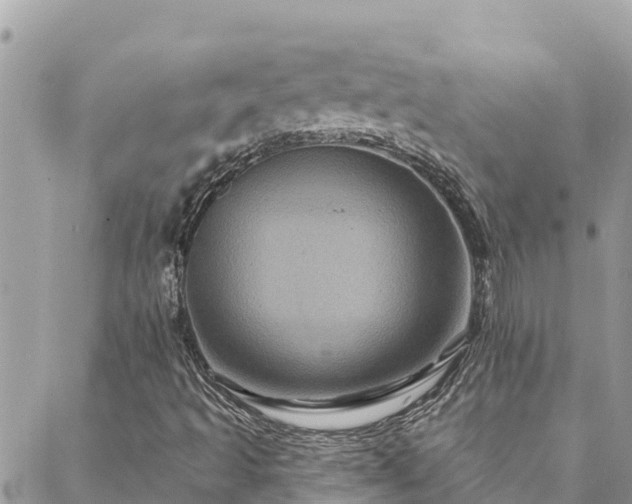 X0000088591493200706011124