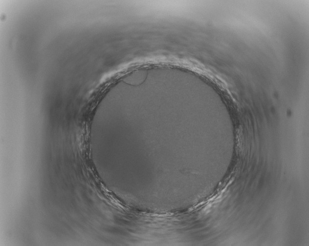 X0000088591494200706011124