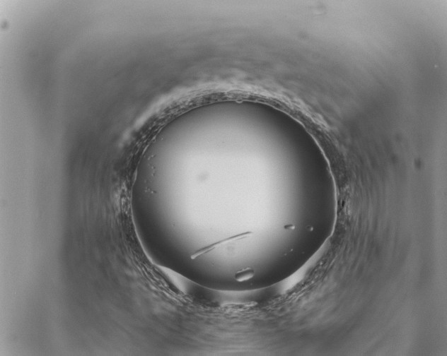 X0000088591495200706011124