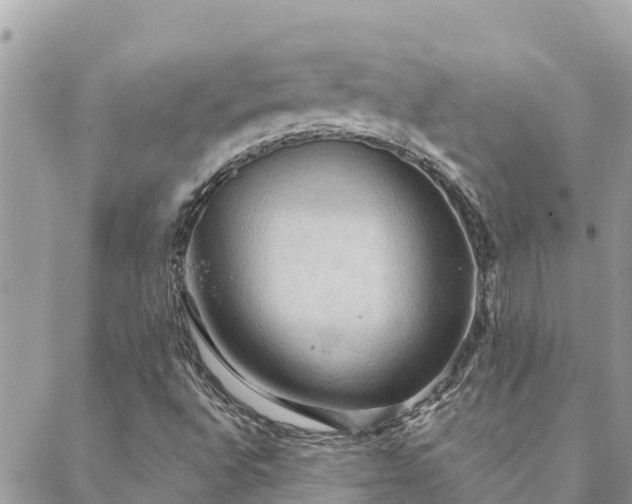 X0000088591496200706011124