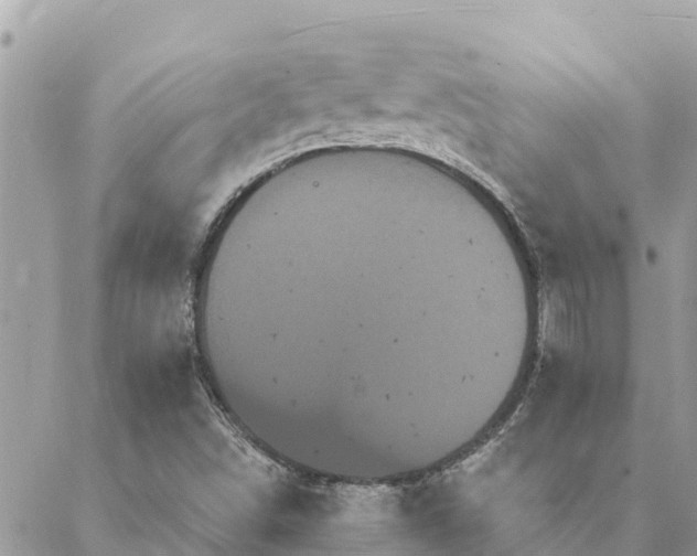 X0000088591498200706011124