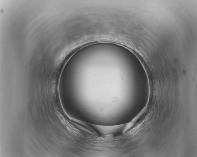 X0000088591499200706011124