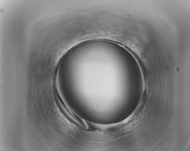 X0000088591500200706011124