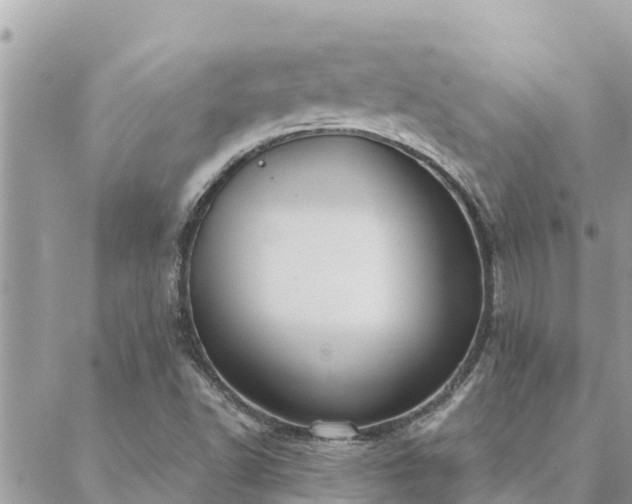 X0000088591502200706011124