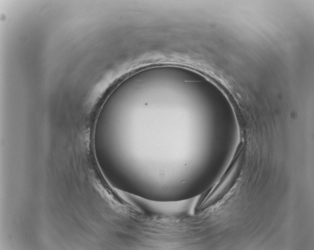 X0000088591503200706011124