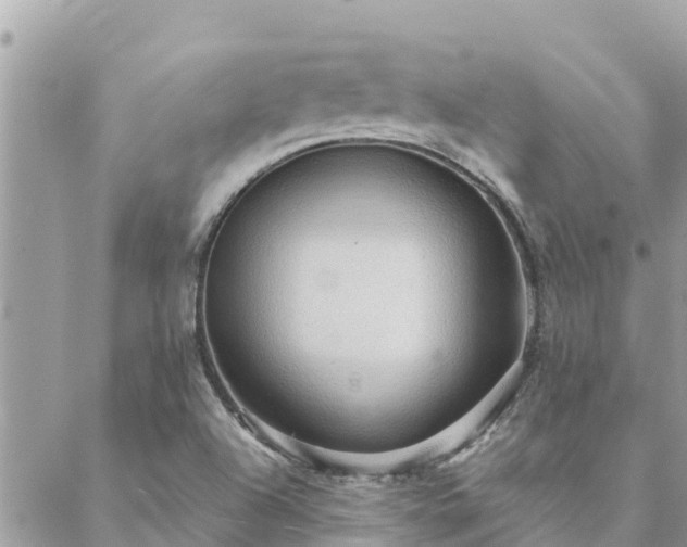 X0000088591504200706011124