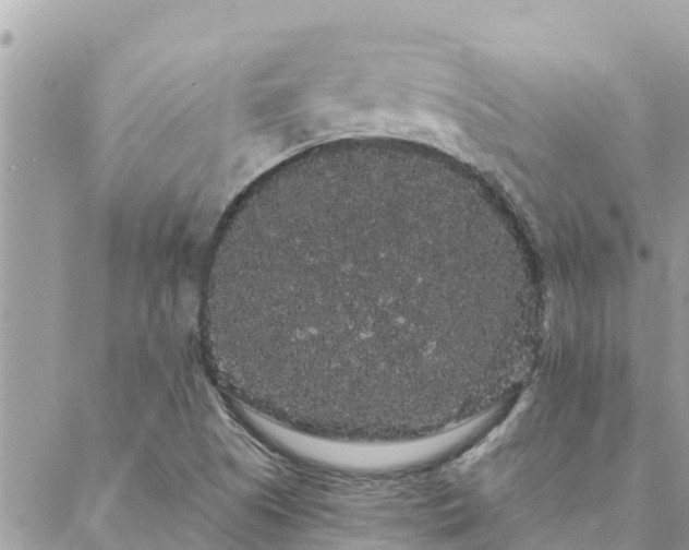 X0000088591505200706011124