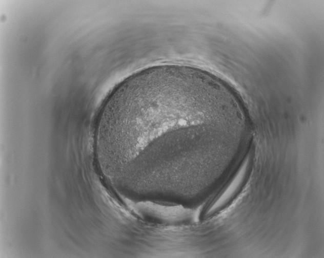 X0000088591506200706011125