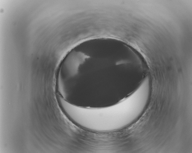 X0000088591508200706011125