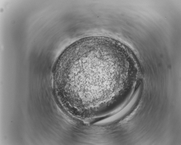 X0000088591509200706011125