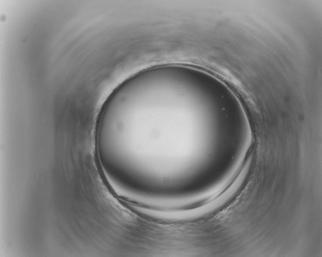 X0000088591512200706011125