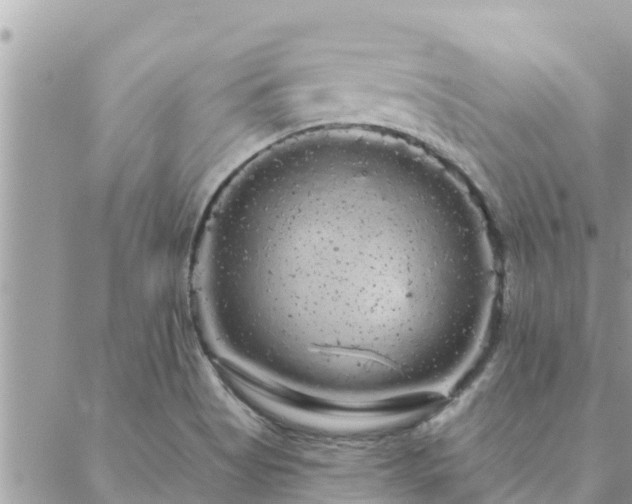 X0000088591513200706011125