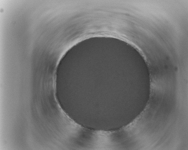 X0000088591514200706011125