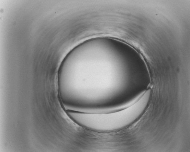 X0000088591516200706011125