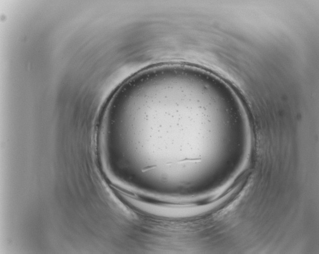 X0000088591517200706011125