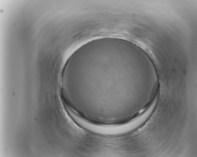 X0000088591520200706011125