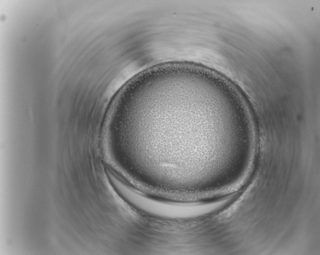 X0000088591521200706011125