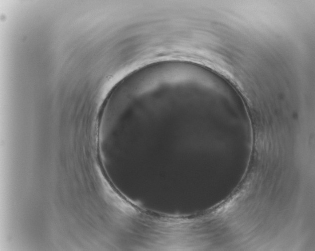 X0000088591522200706011125