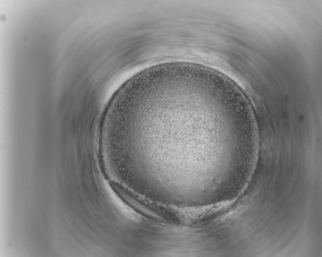 X0000088591523200706011125