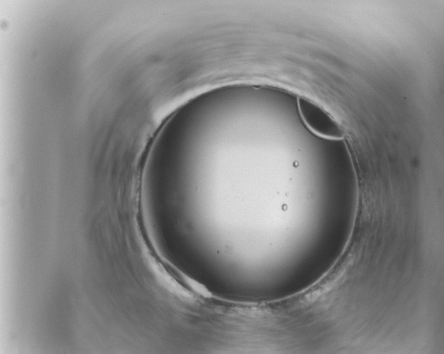 X0000088591526200706011125