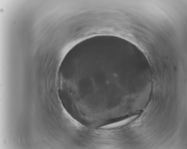 X0000088591527200706011125