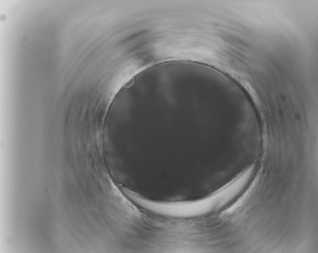 X0000088591529200706011125