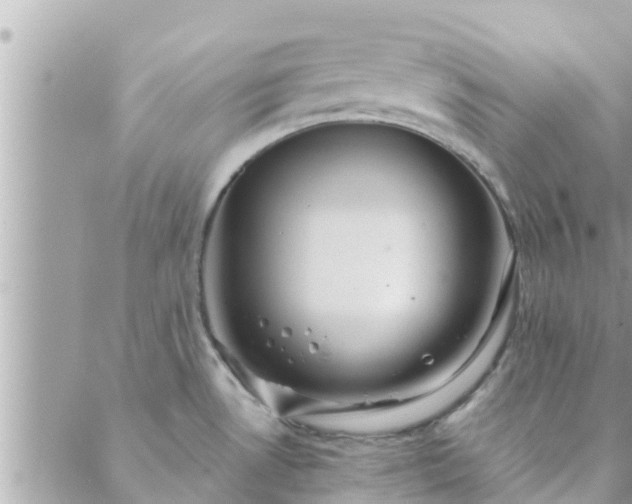 X0000088591530200706011125