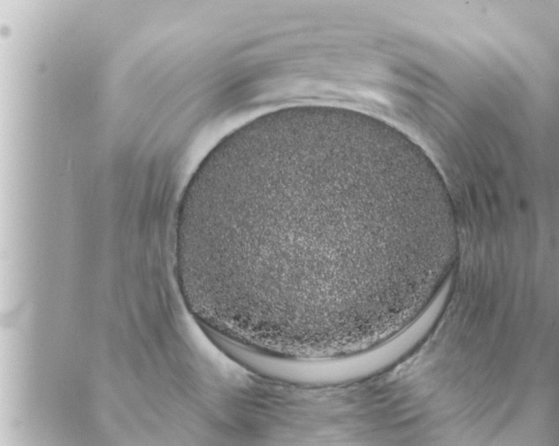 X0000088591531200706011125