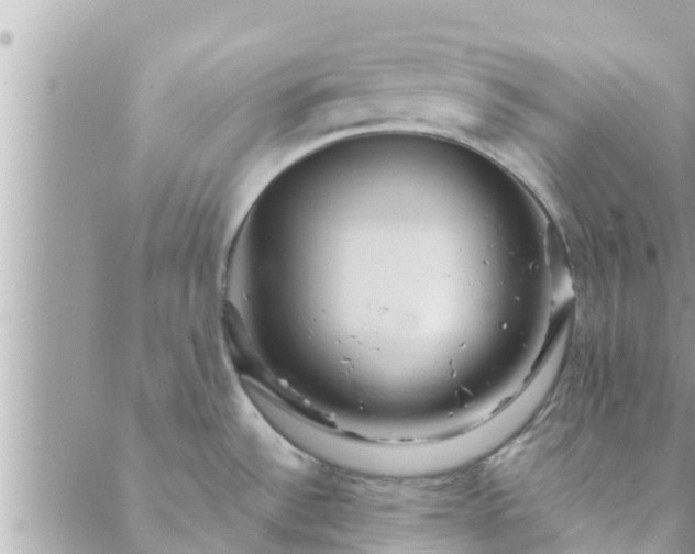 X0000088591532200706011125