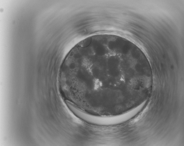 X0000088591533200706011125