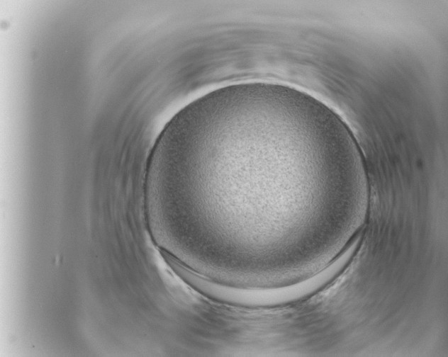 X0000088591534200706011125