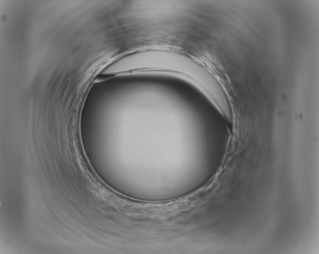 X0000088590001200706081339