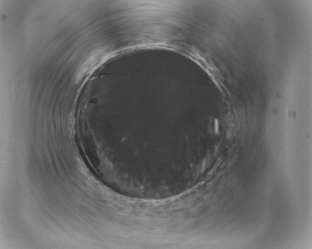 X0000088590002200706081339