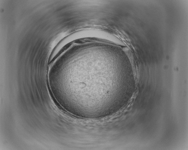 X0000088590003200706081339