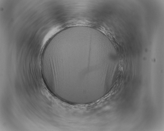 X0000088590004200706081339