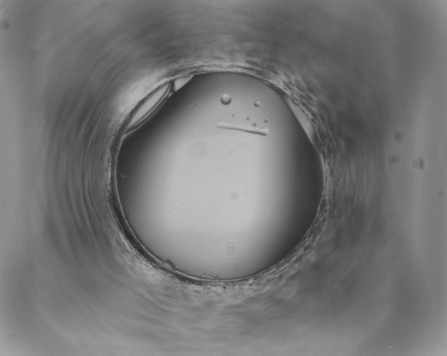 X0000088590005200706081339