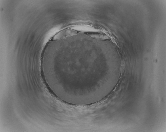 X0000088590006200706081339